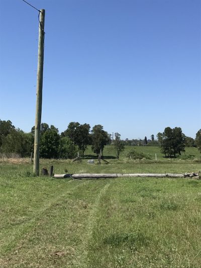 Pole Replacement – Newcastle Powerlines 1