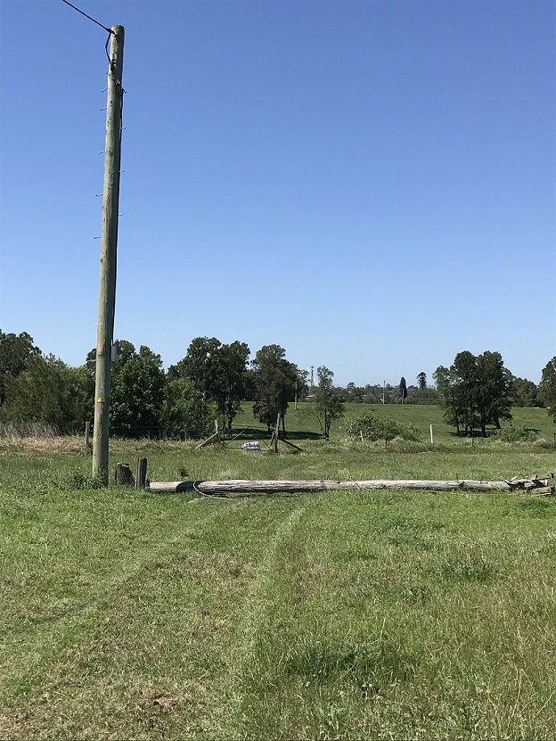 Pole Replacement – Newcastle Powerlines 1