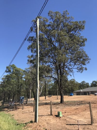 Pole Replacement – Newcastle Powerlines 3