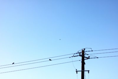Power Line replacement – Newcastle Powerlines – ASP Level 2 Electrician 4