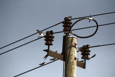 Power Line replacement – Newcastle Powerlines – ASP Level 2 Electrician 5